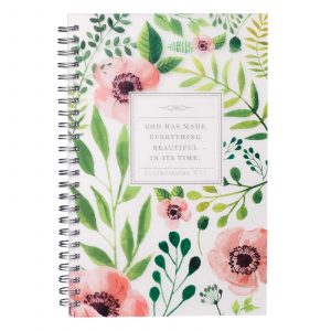 Journal -  God Has Made Eccl 3:11