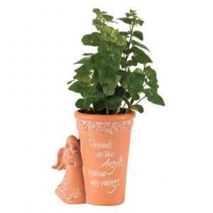 Flwrpot Angel Friends Resin 4.25