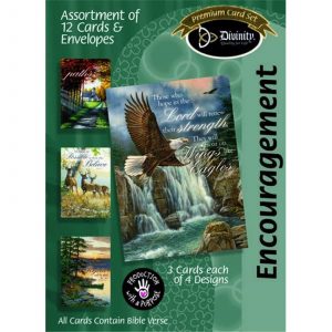 Boxed Cards: Encouragement, Natureretreat 23970n