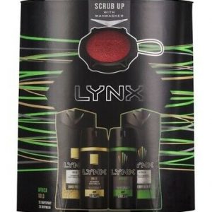 Lynx Bumper Set