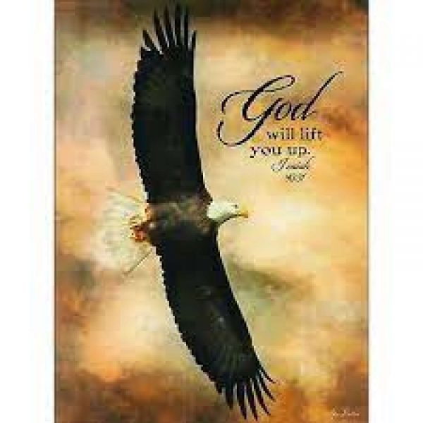 Plq Wall Eagle Mdf 12x16