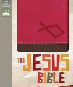 Niv - Niv The Jesus Bible: Discover Jesus In Every Book Of The Bible, Italian Duo-tone, Hot Pink/chocolate