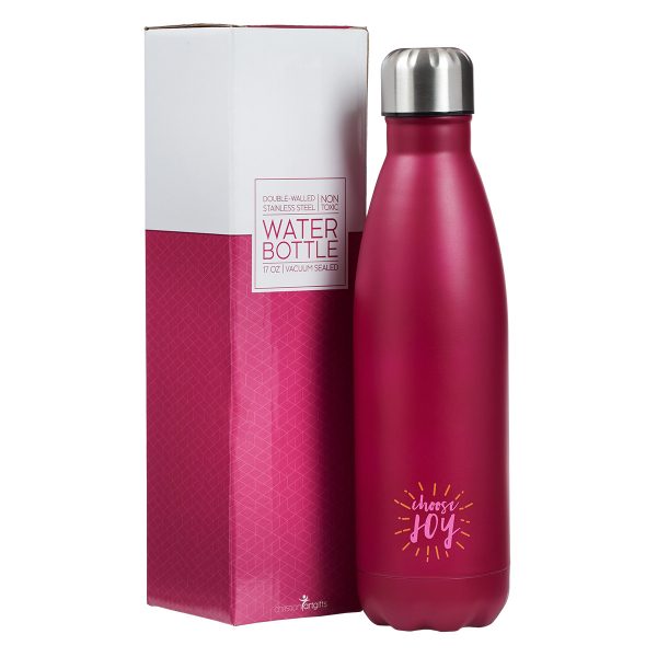 Ss Water Bottle Pink Choose Joy