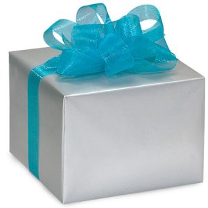 Silver Gloss Wrapping Paper 24x85 Cr