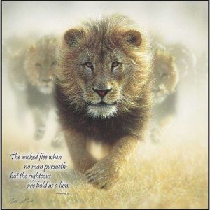 Plq Wall Bold As A Lion Mdf 12x12